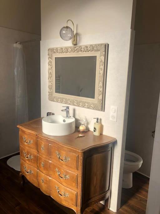 Appartement De Caractere Mirecourt Dış mekan fotoğraf